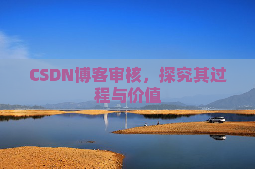 CSDN博客审核,探究其过程与价值